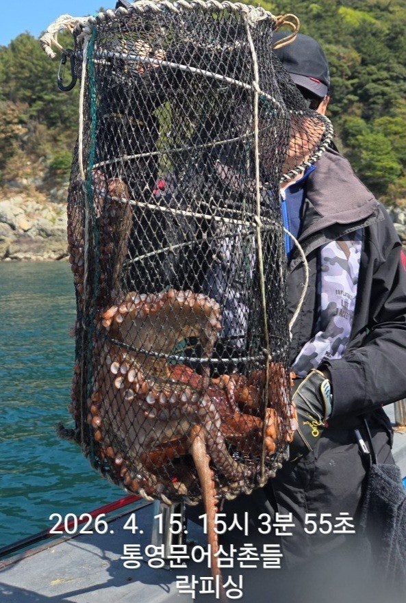 ����ڰ� �ø� �̹���