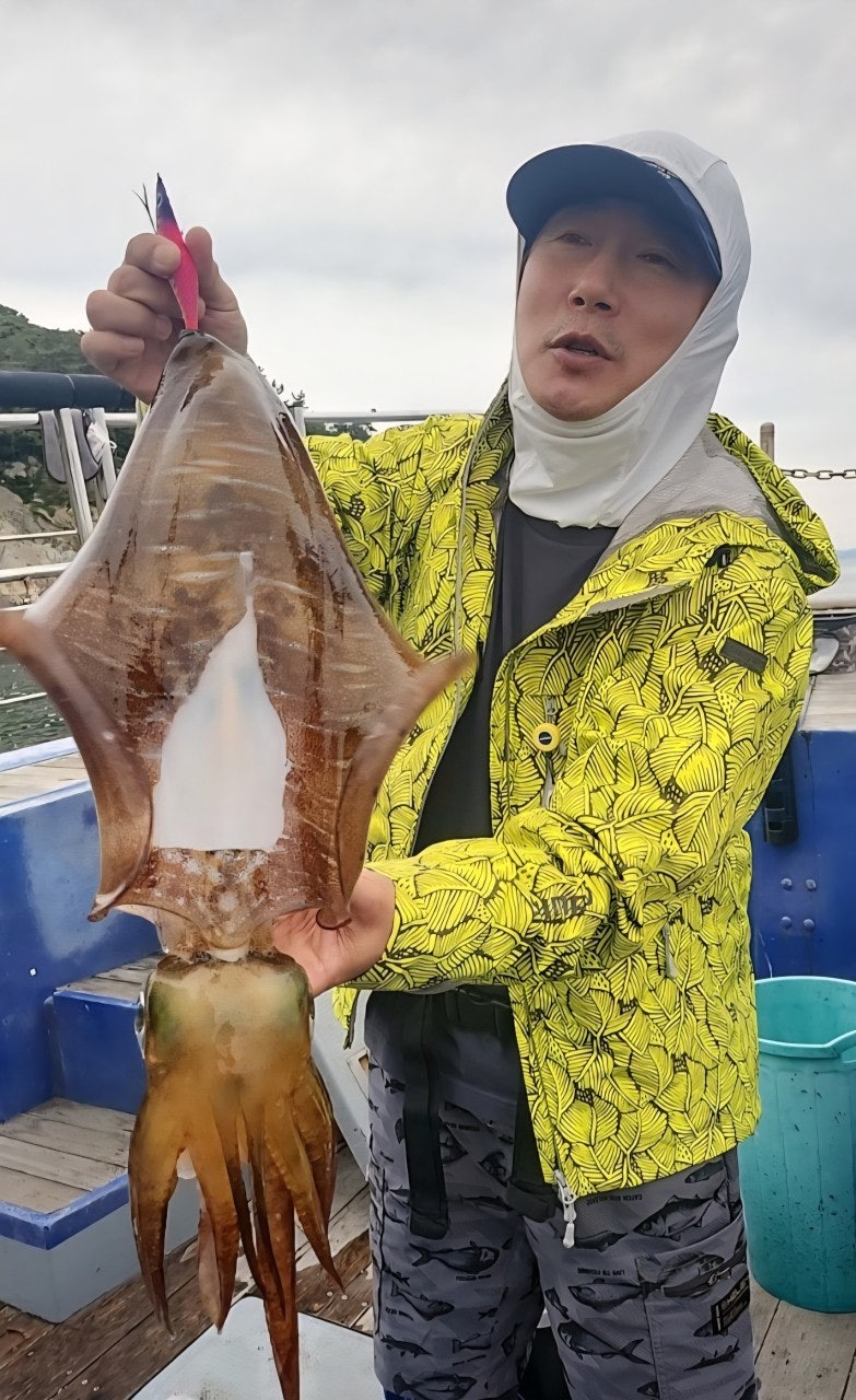 ����ڰ� �ø� �̹���