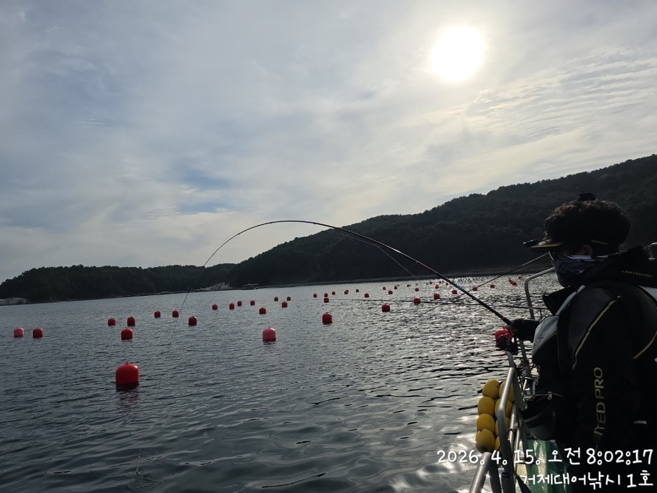 ����ڰ� �ø� �̹���