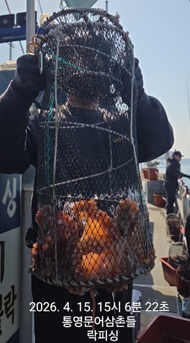 ����ڰ� �ø� �̹���