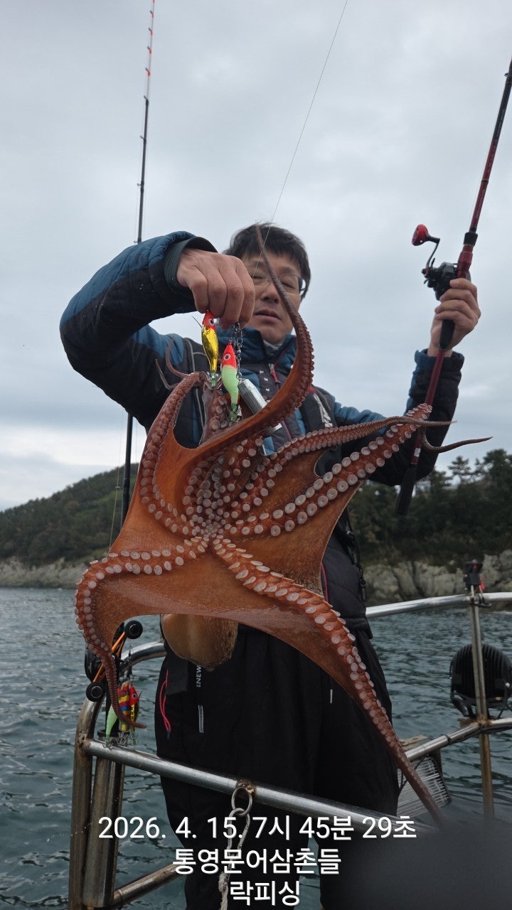 ����ڰ� �ø� �̹���