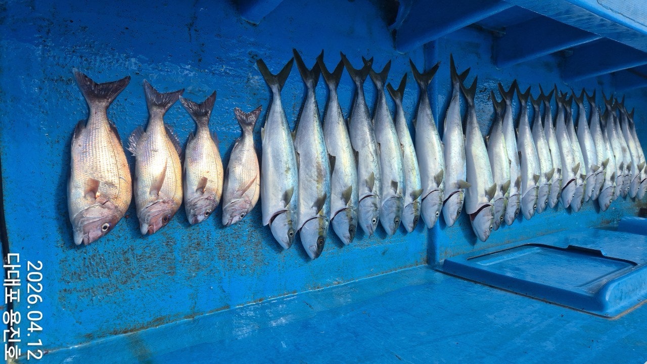 ����ڰ� �ø� �̹���