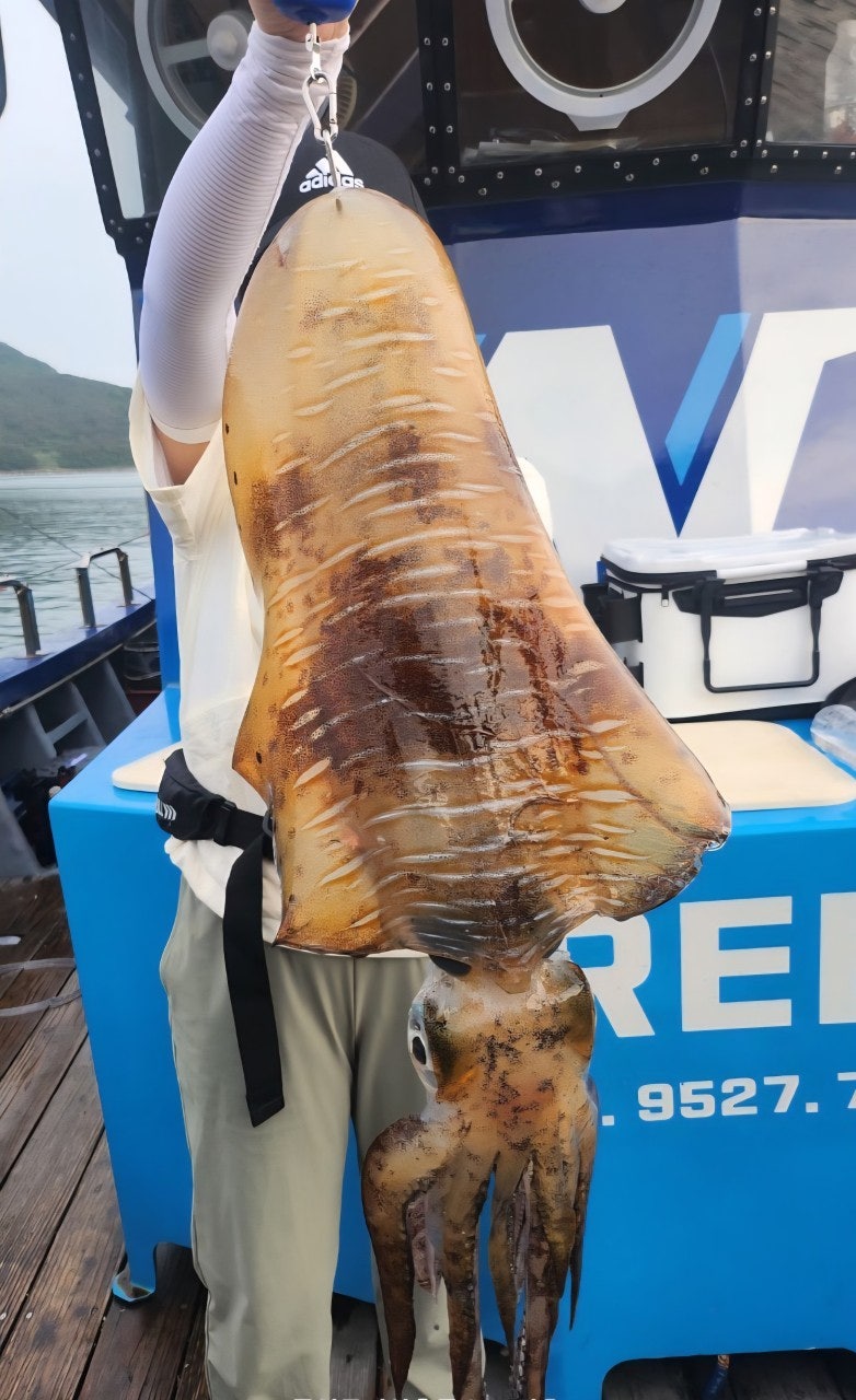 ����ڰ� �ø� �̹���