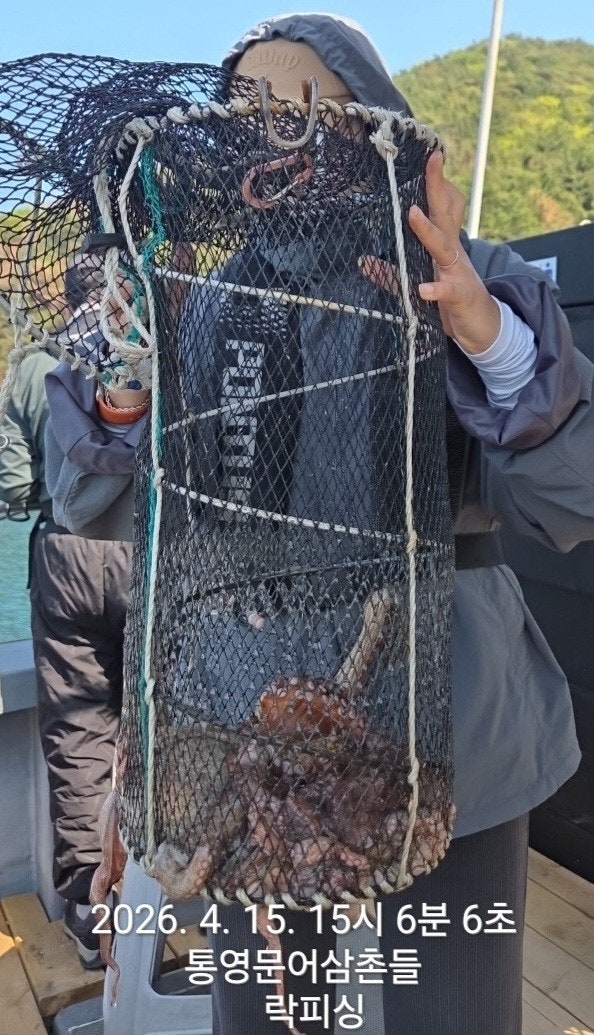 ����ڰ� �ø� �̹���