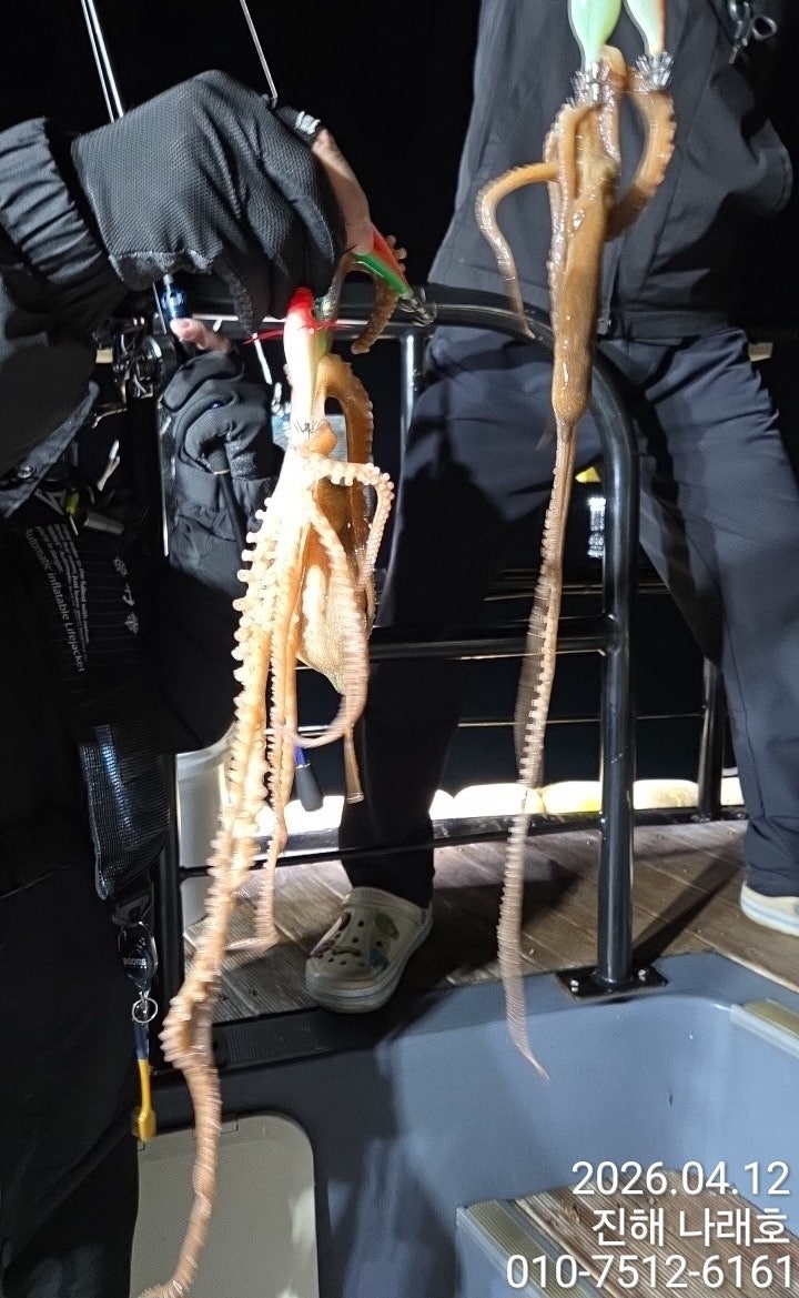 ����ڰ� �ø� �̹���