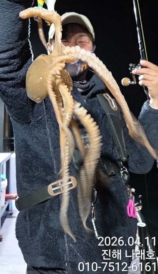 ����ڰ� �ø� �̹���