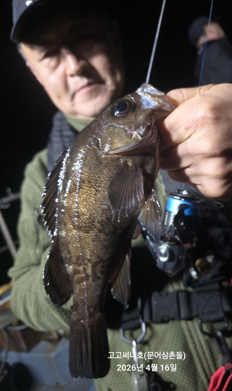 ����ڰ� �ø� �̹���