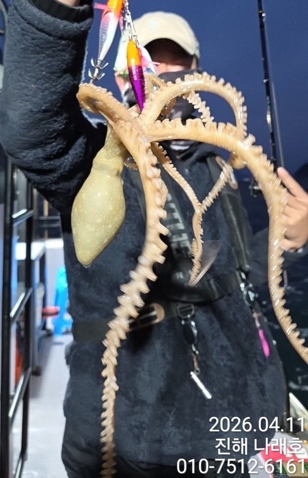 ����ڰ� �ø� �̹���