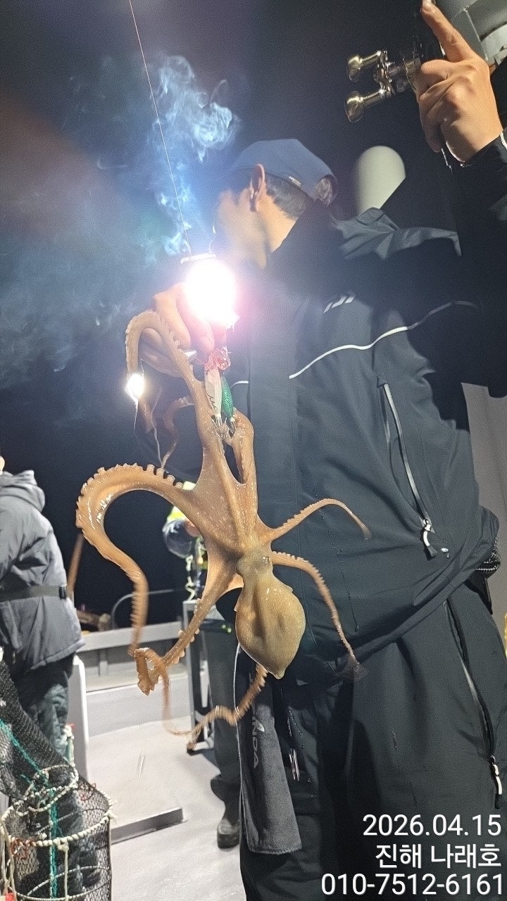 ����ڰ� �ø� �̹���