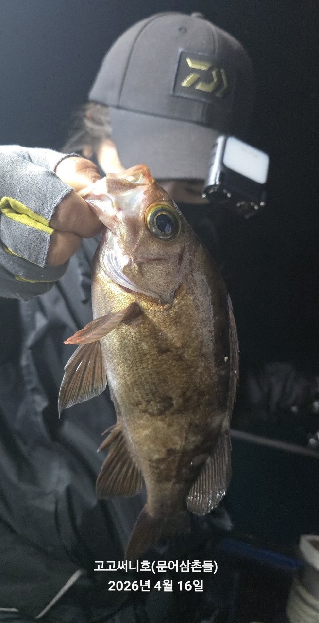 ����ڰ� �ø� �̹���