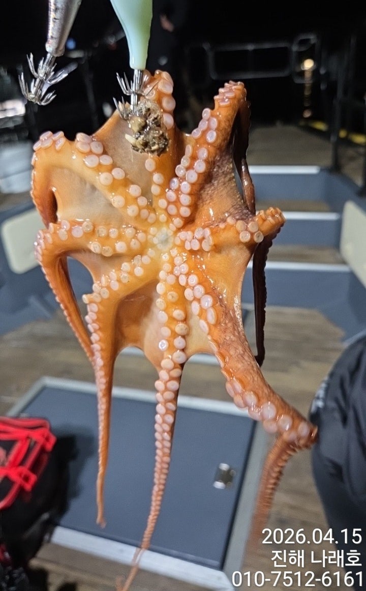 ����ڰ� �ø� �̹���