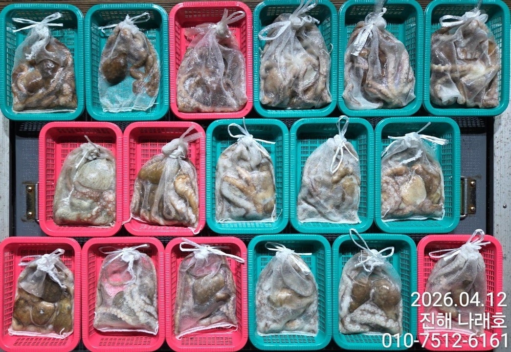 ����ڰ� �ø� �̹���