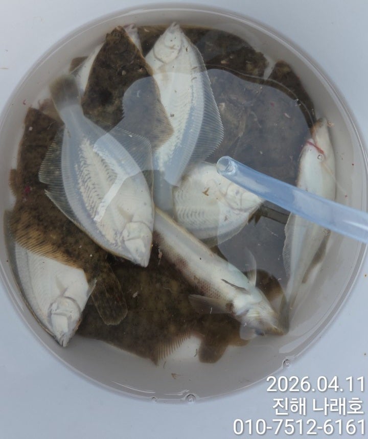 ����ڰ� �ø� �̹���