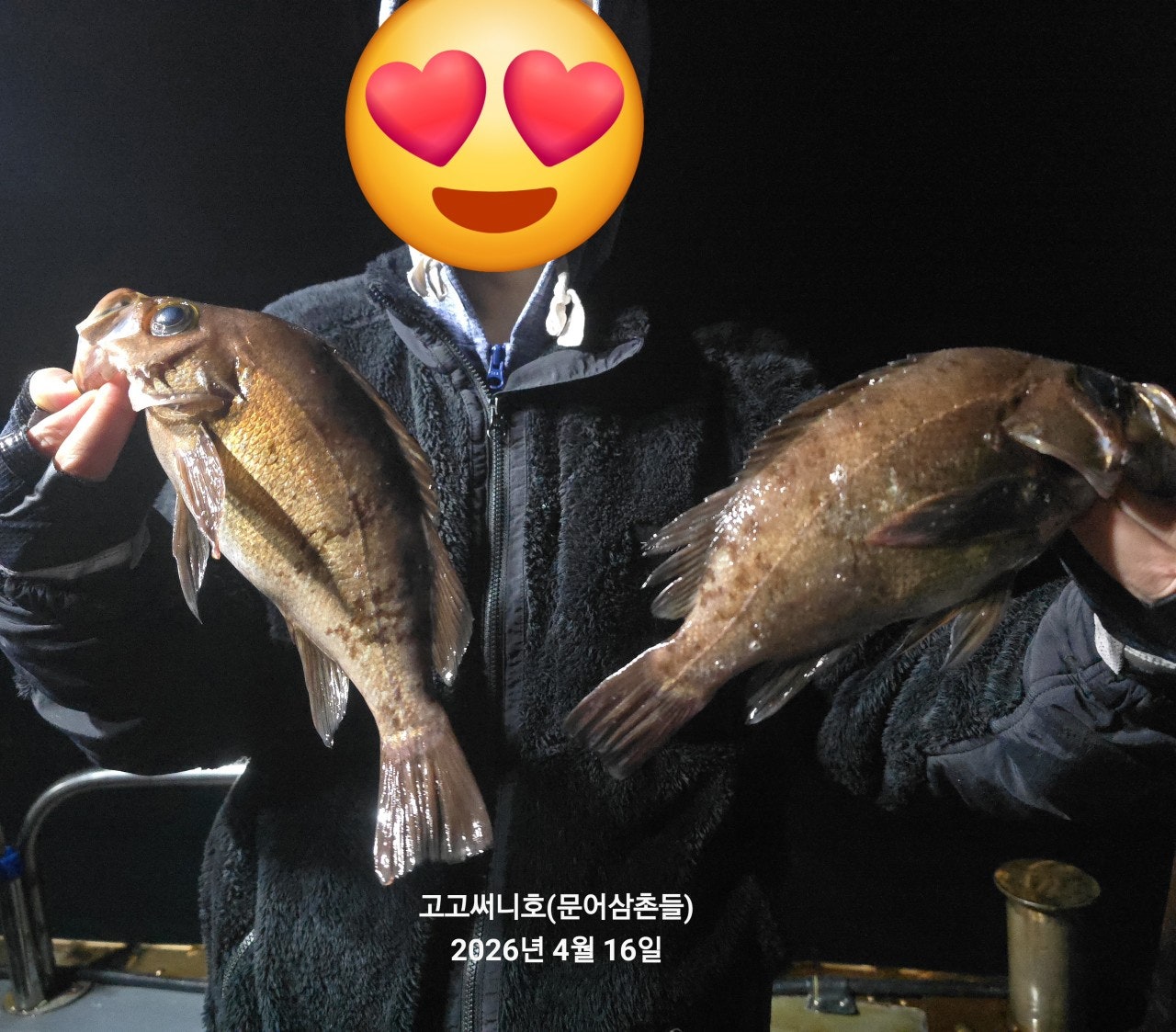 ����ڰ� �ø� �̹���