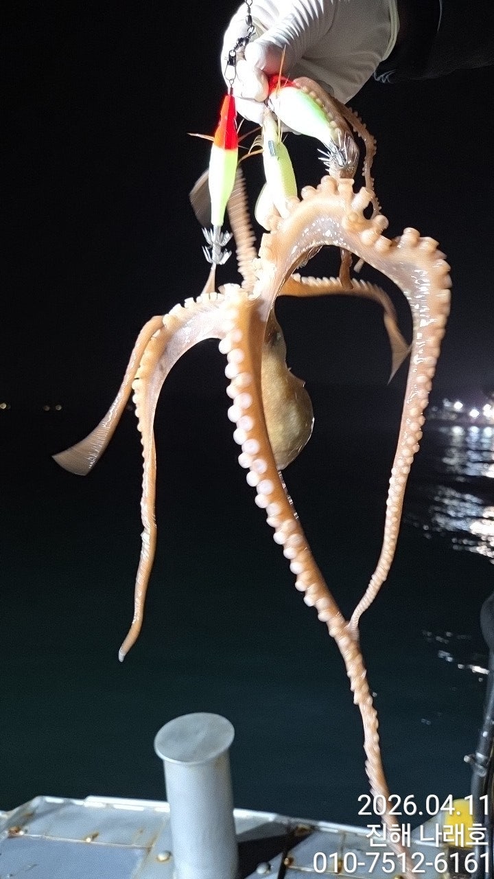 ����ڰ� �ø� �̹���