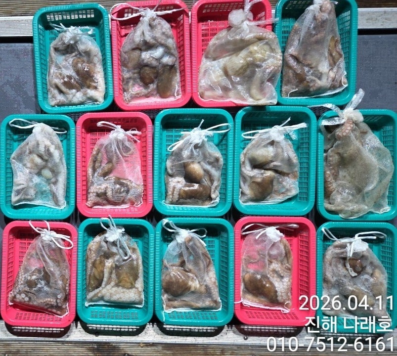 ����ڰ� �ø� �̹���