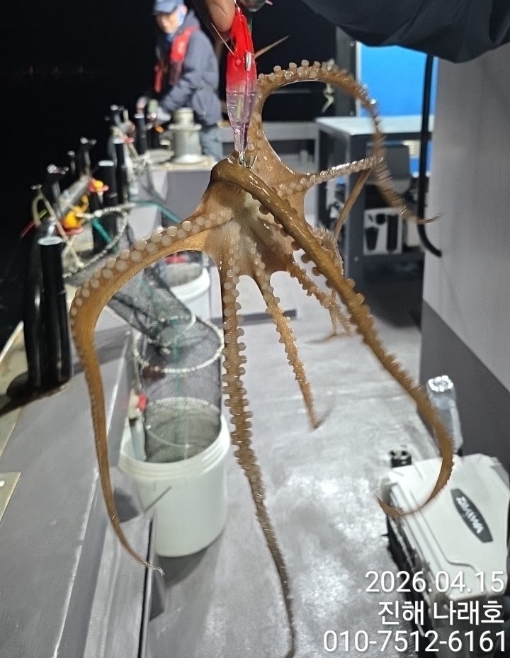 ����ڰ� �ø� �̹���