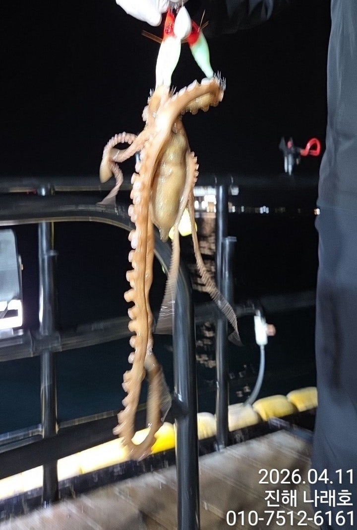 ����ڰ� �ø� �̹���