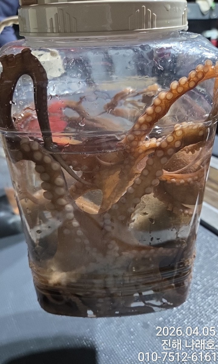 ����ڰ� �ø� �̹���