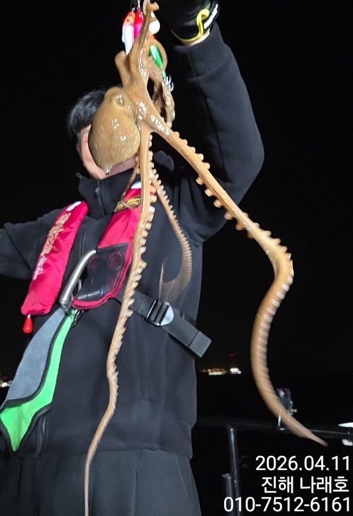 ����ڰ� �ø� �̹���