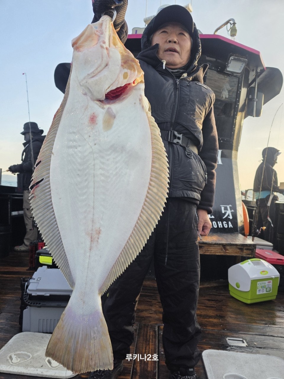 사용자가 올린 이미지