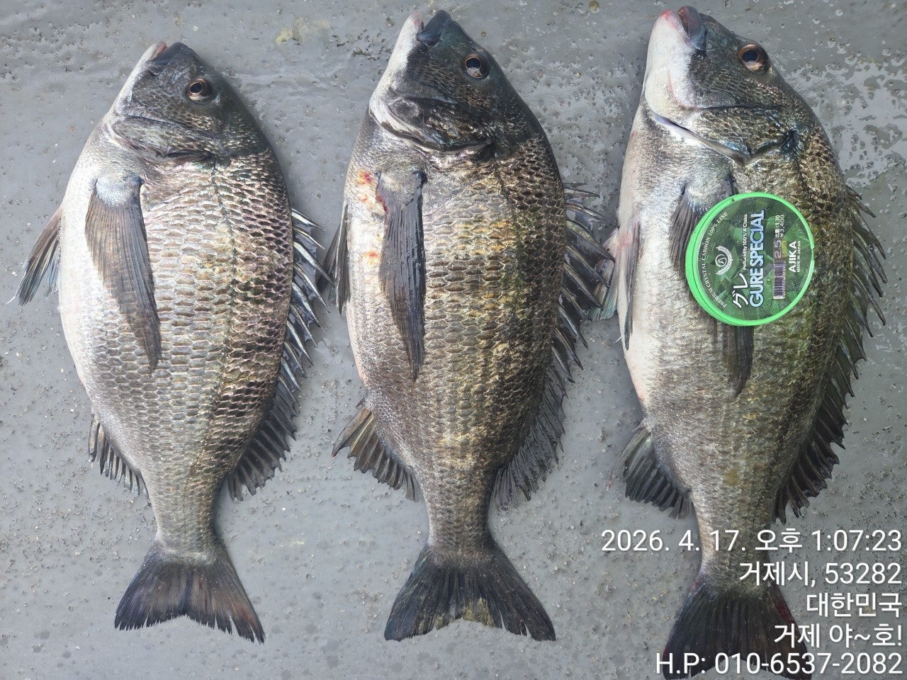 ����ڰ� �ø� �̹���