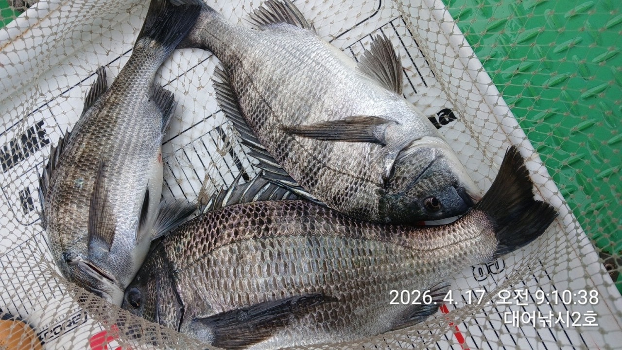 ����ڰ� �ø� �̹���