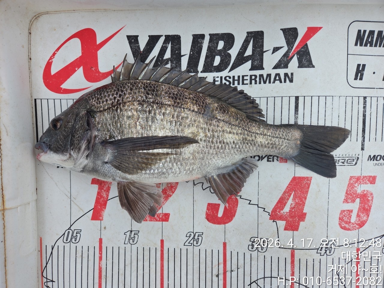 ����ڰ� �ø� �̹���