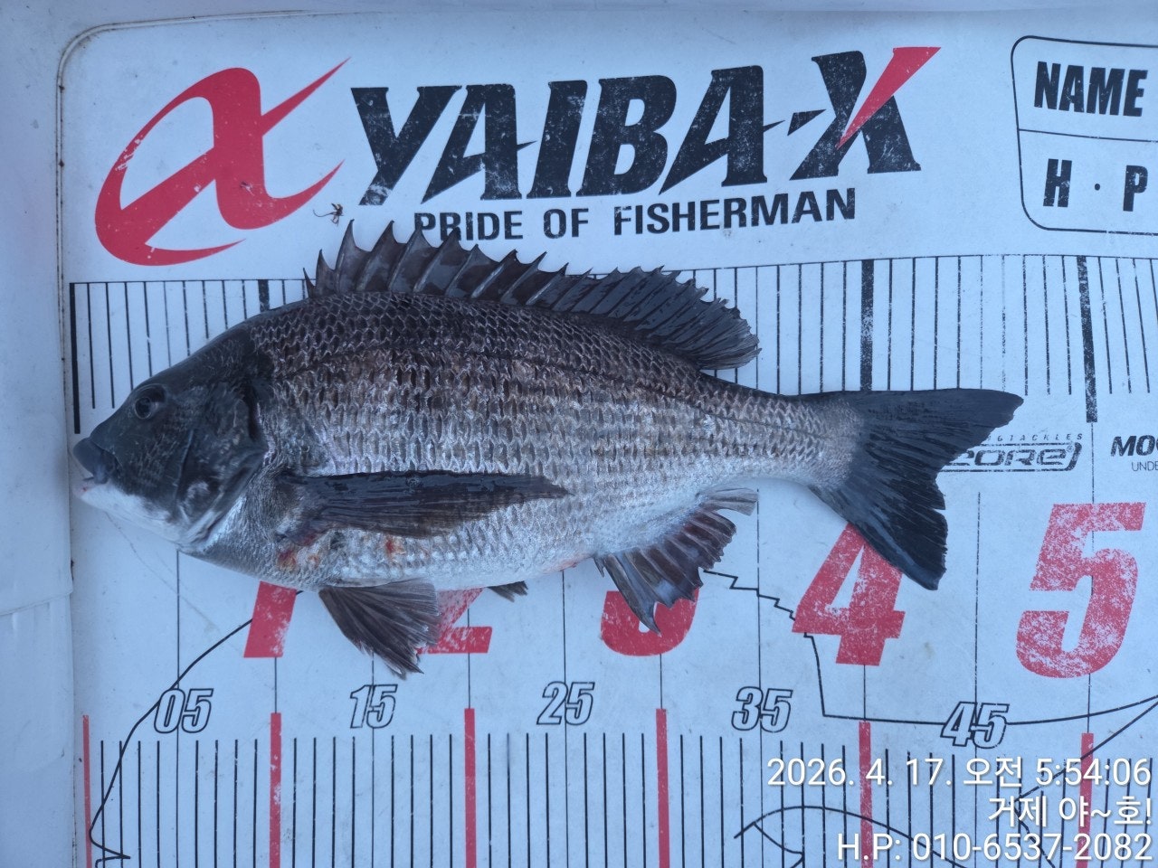 ����ڰ� �ø� �̹���