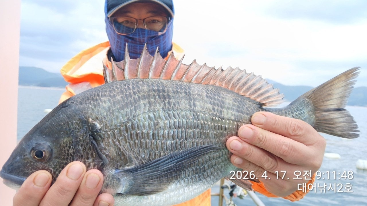 ����ڰ� �ø� �̹���