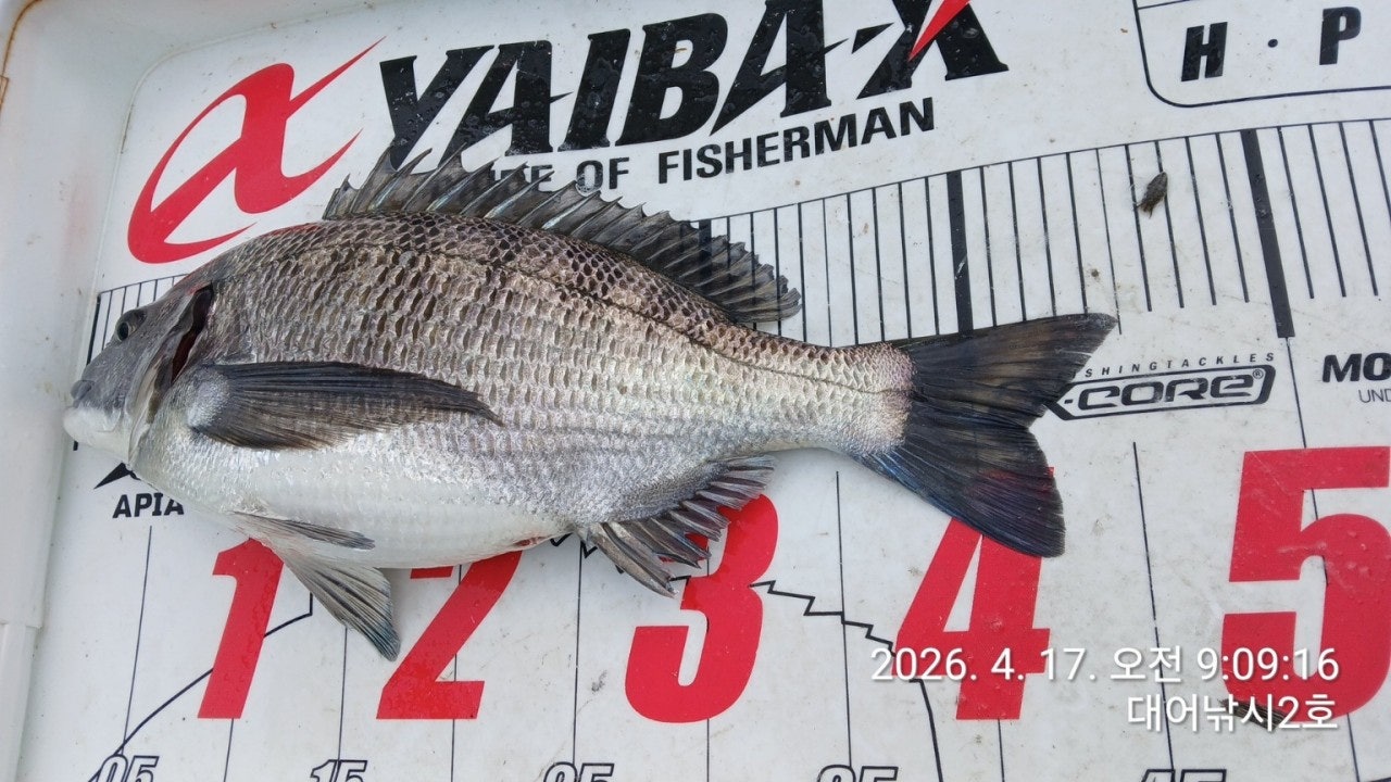 ����ڰ� �ø� �̹���