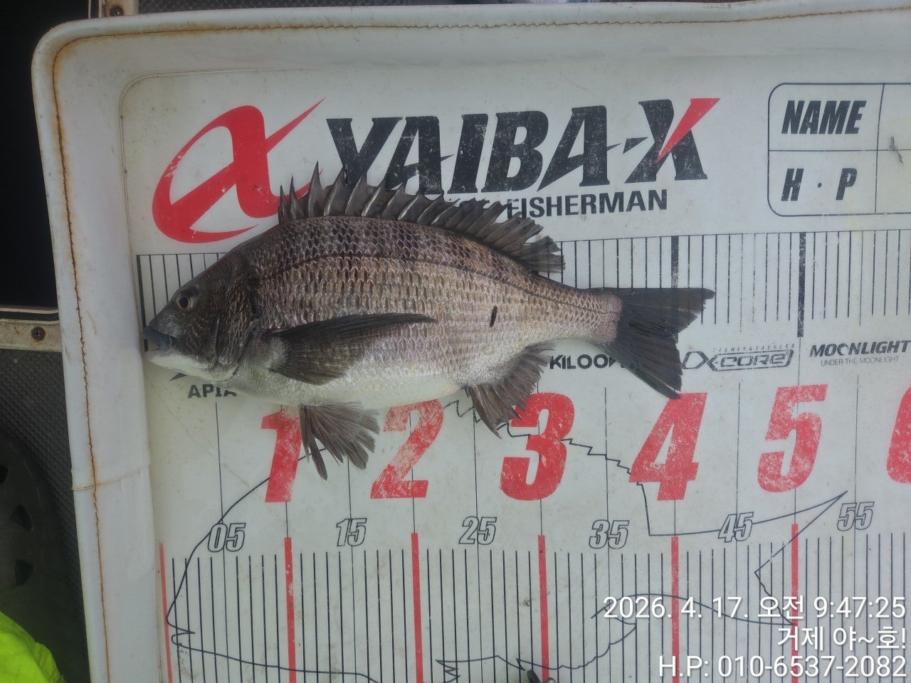 ����ڰ� �ø� �̹���