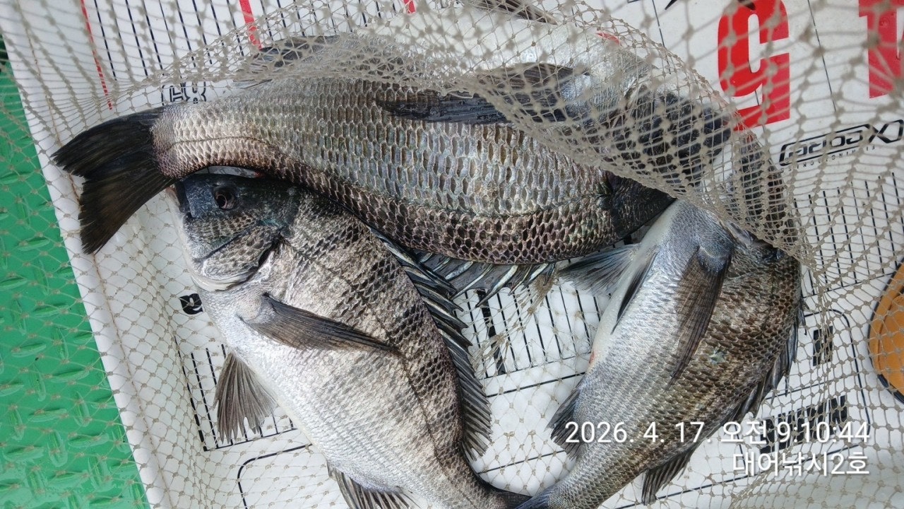 ����ڰ� �ø� �̹���