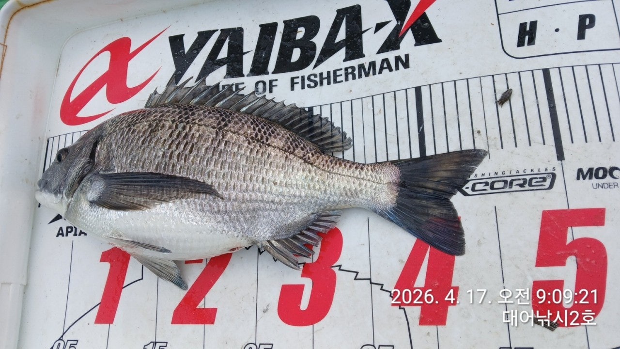 ����ڰ� �ø� �̹���