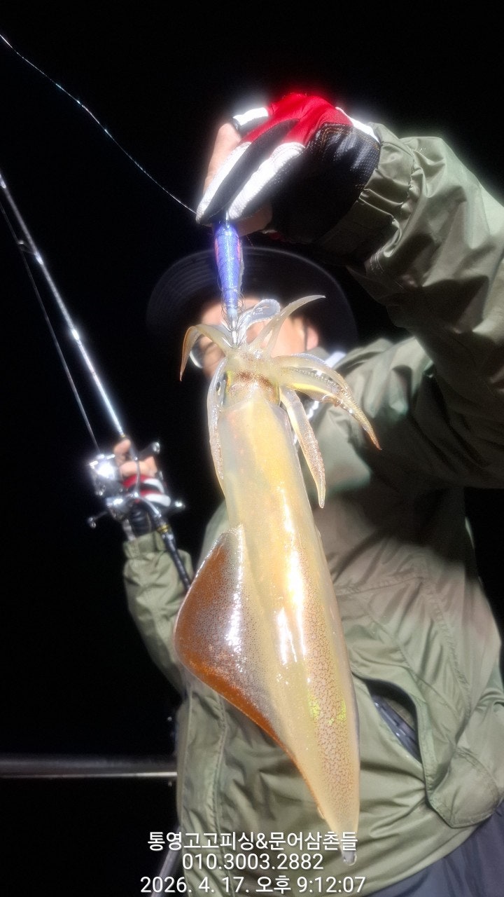 ����ڰ� �ø� �̹���