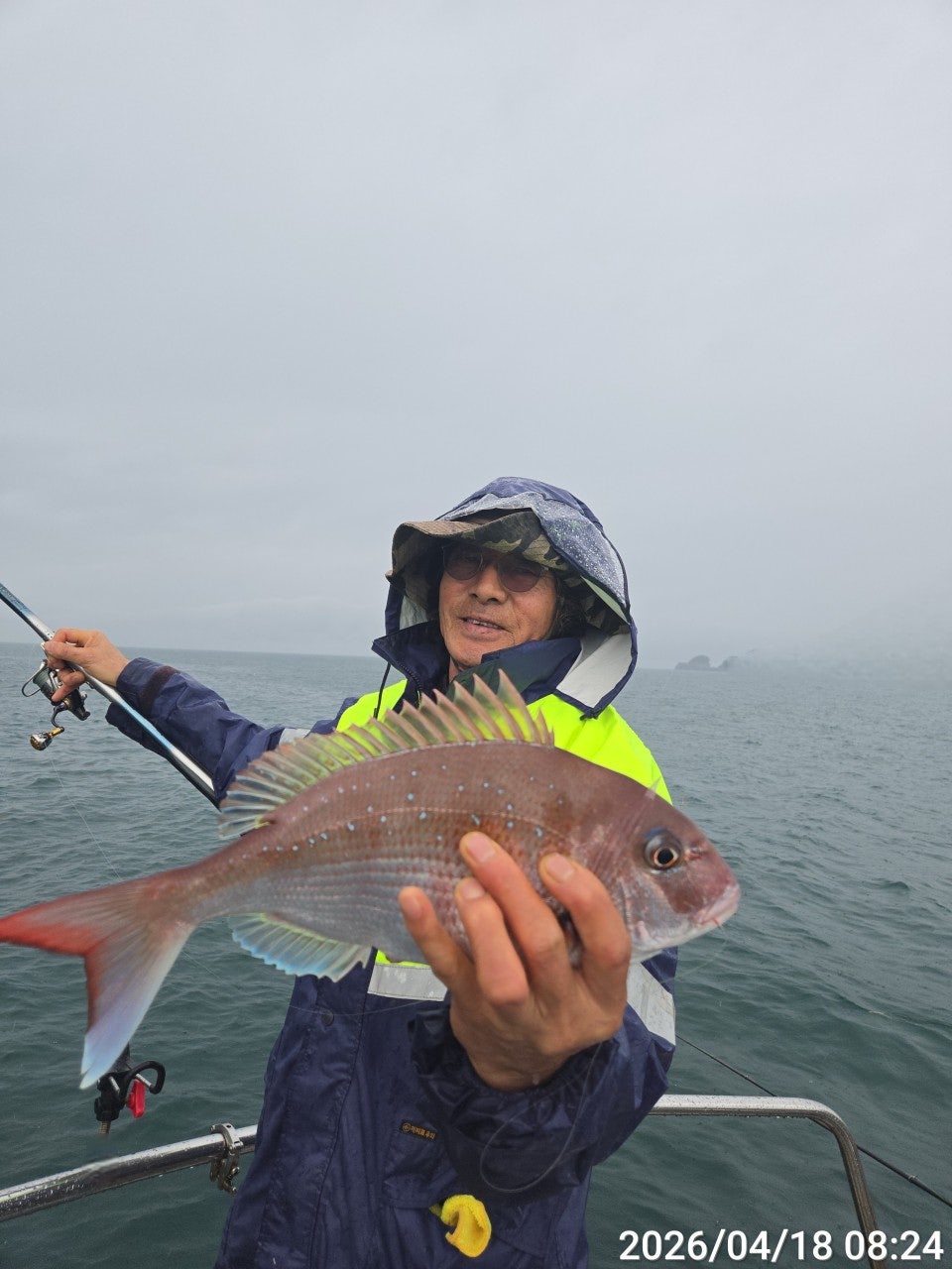 ����ڰ� �ø� �̹���