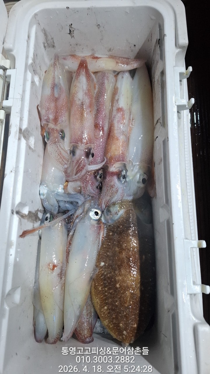 ����ڰ� �ø� �̹���