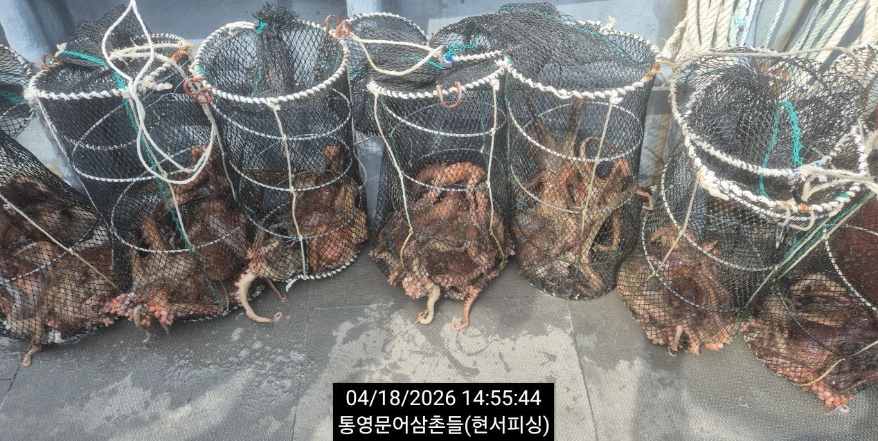 ����ڰ� �ø� �̹���