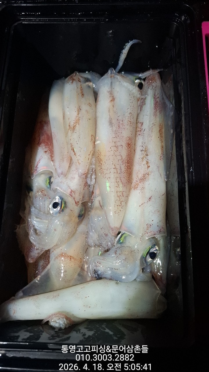 ����ڰ� �ø� �̹���