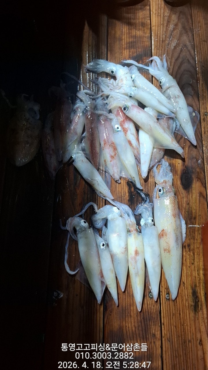 ����ڰ� �ø� �̹���