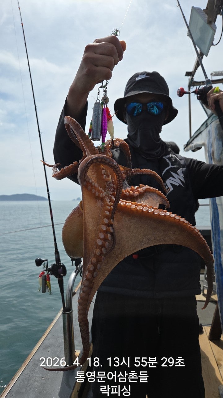 ����ڰ� �ø� �̹���