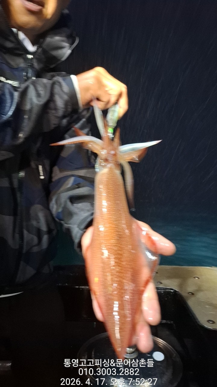 ����ڰ� �ø� �̹���