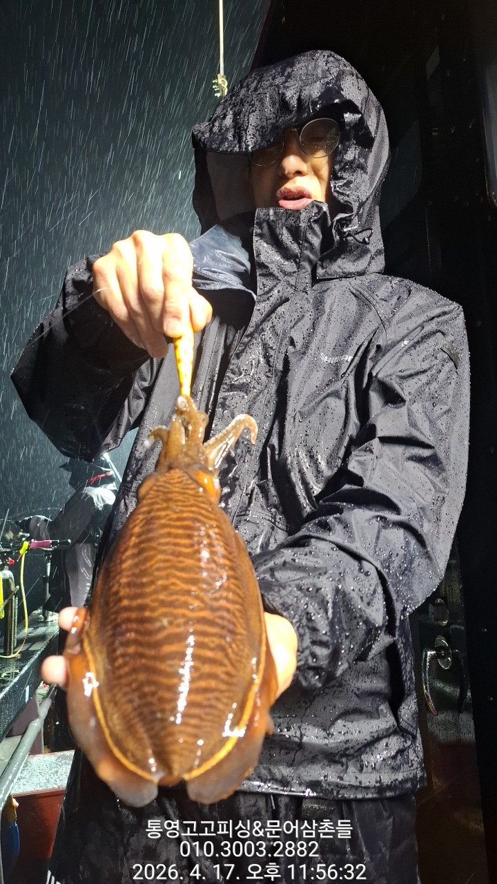 ����ڰ� �ø� �̹���