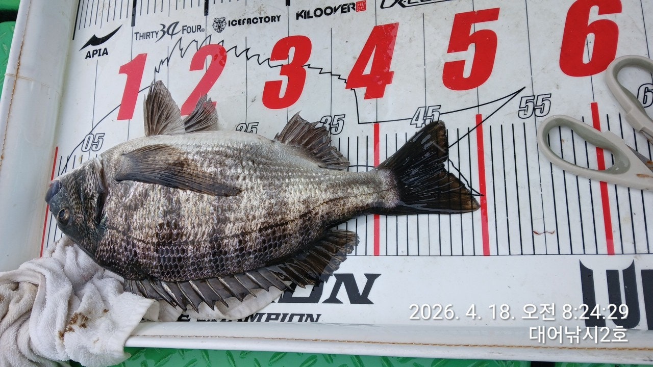 ����ڰ� �ø� �̹���