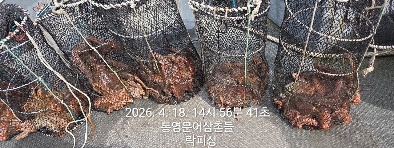 ����ڰ� �ø� �̹���