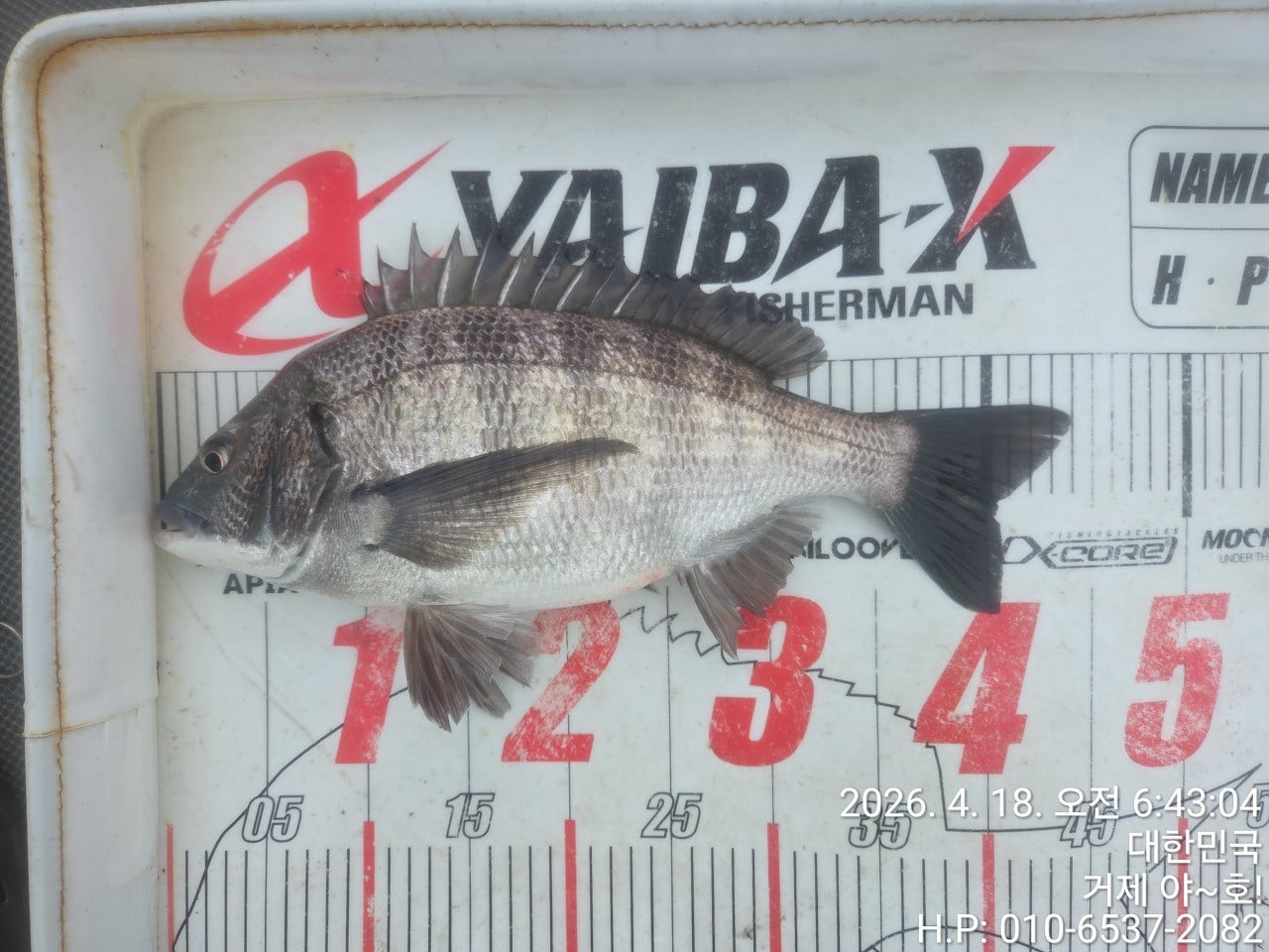 ����ڰ� �ø� �̹���