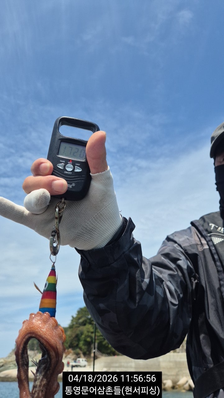 ����ڰ� �ø� �̹���