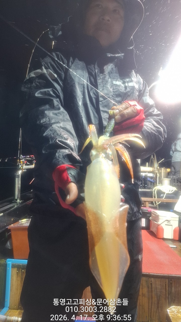 ����ڰ� �ø� �̹���