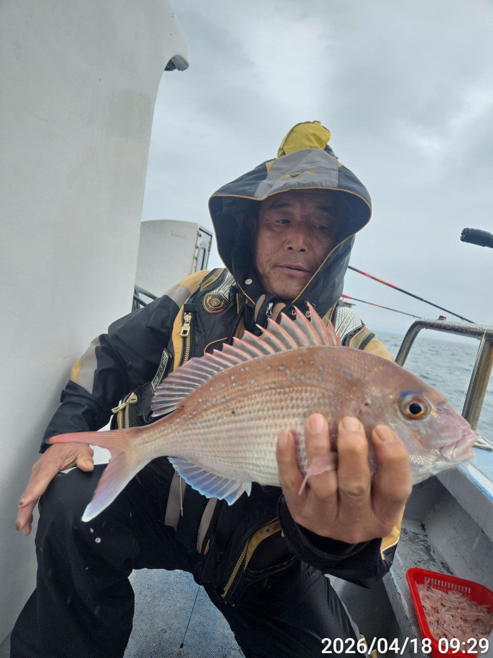 ����ڰ� �ø� �̹���