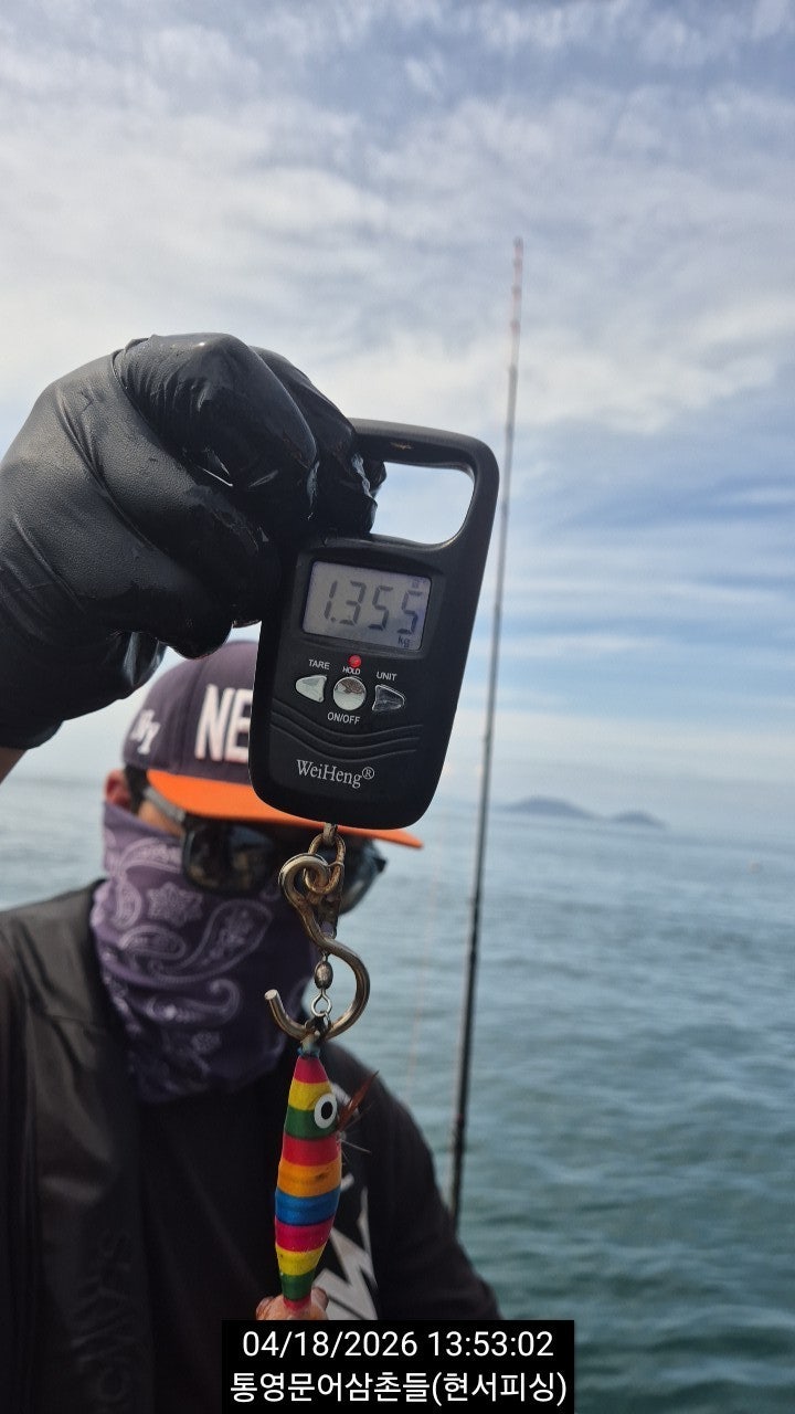 ����ڰ� �ø� �̹���